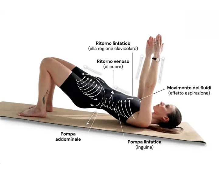Schema delle vie linfatiche attivate durante una sequenza di ponte del Pilates Linfodrenante®