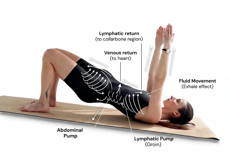 Pilates bridge pose with lymphatic flow diagram explaining how movement and breath support drainage.