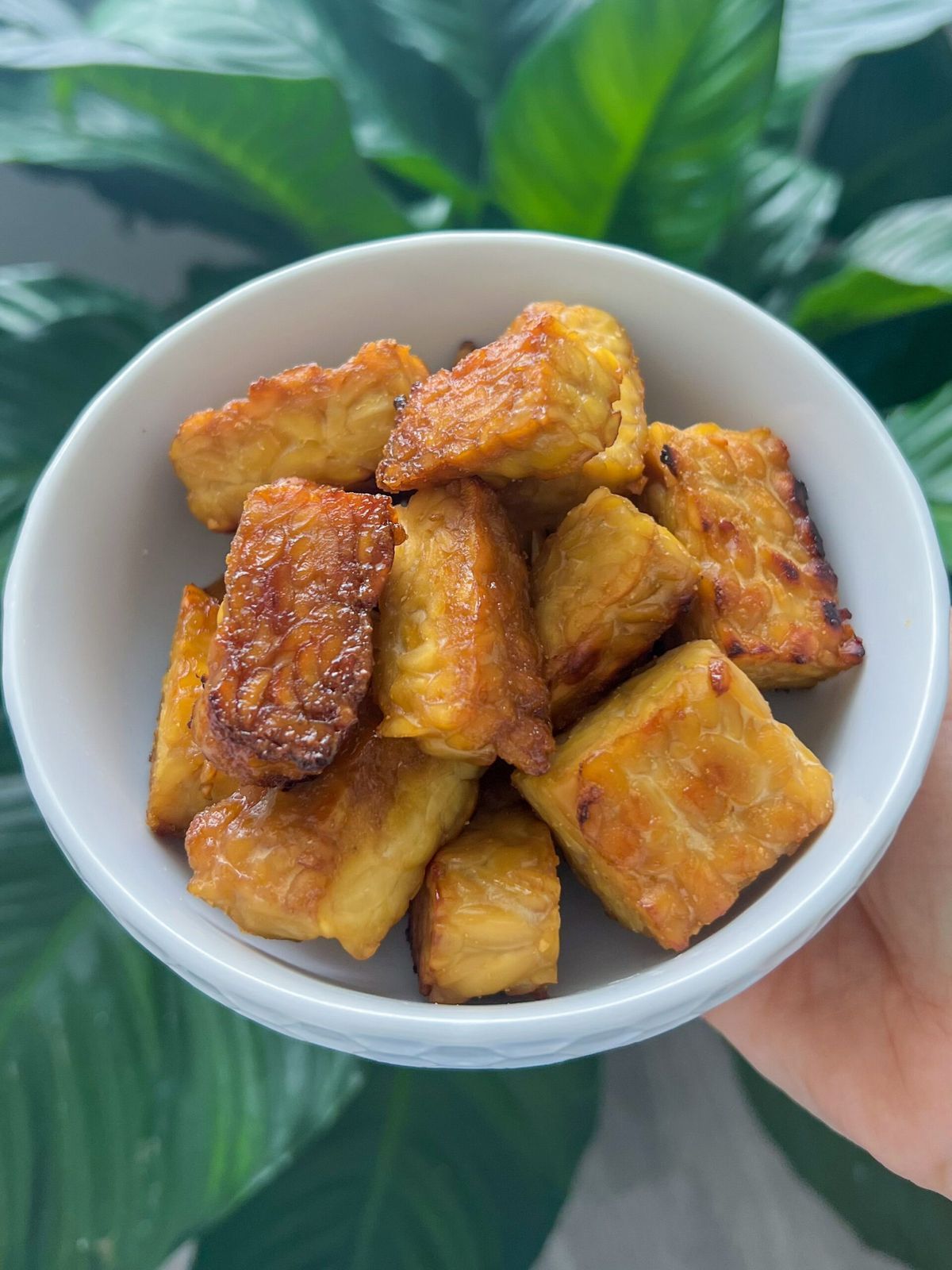 Ciotola con tempeh a dadini cotto in padella in olio evo